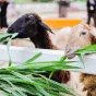 探索体育的精彩 - 宝威体育chenruixin